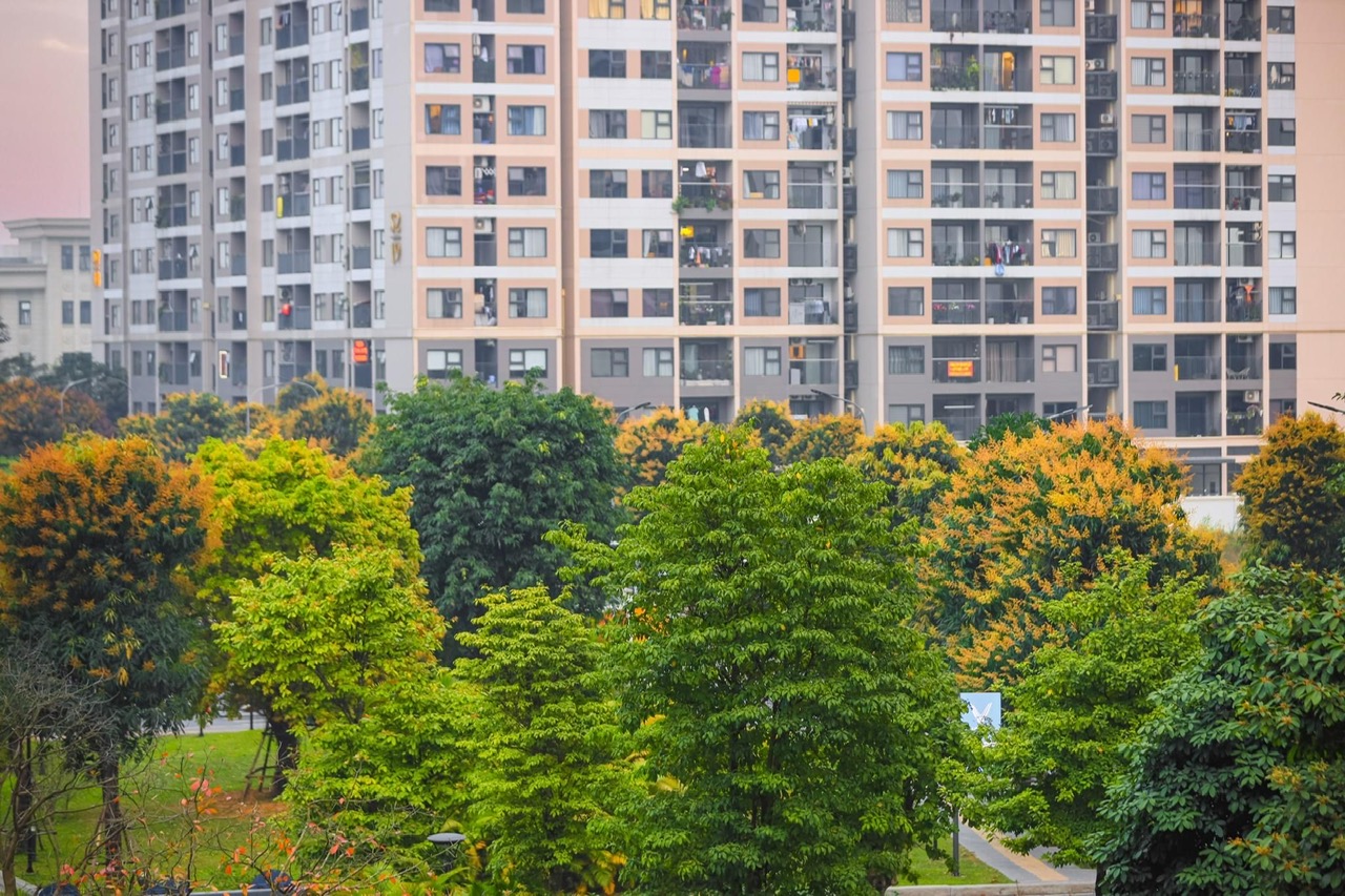 chung cư vinhomes ocean park