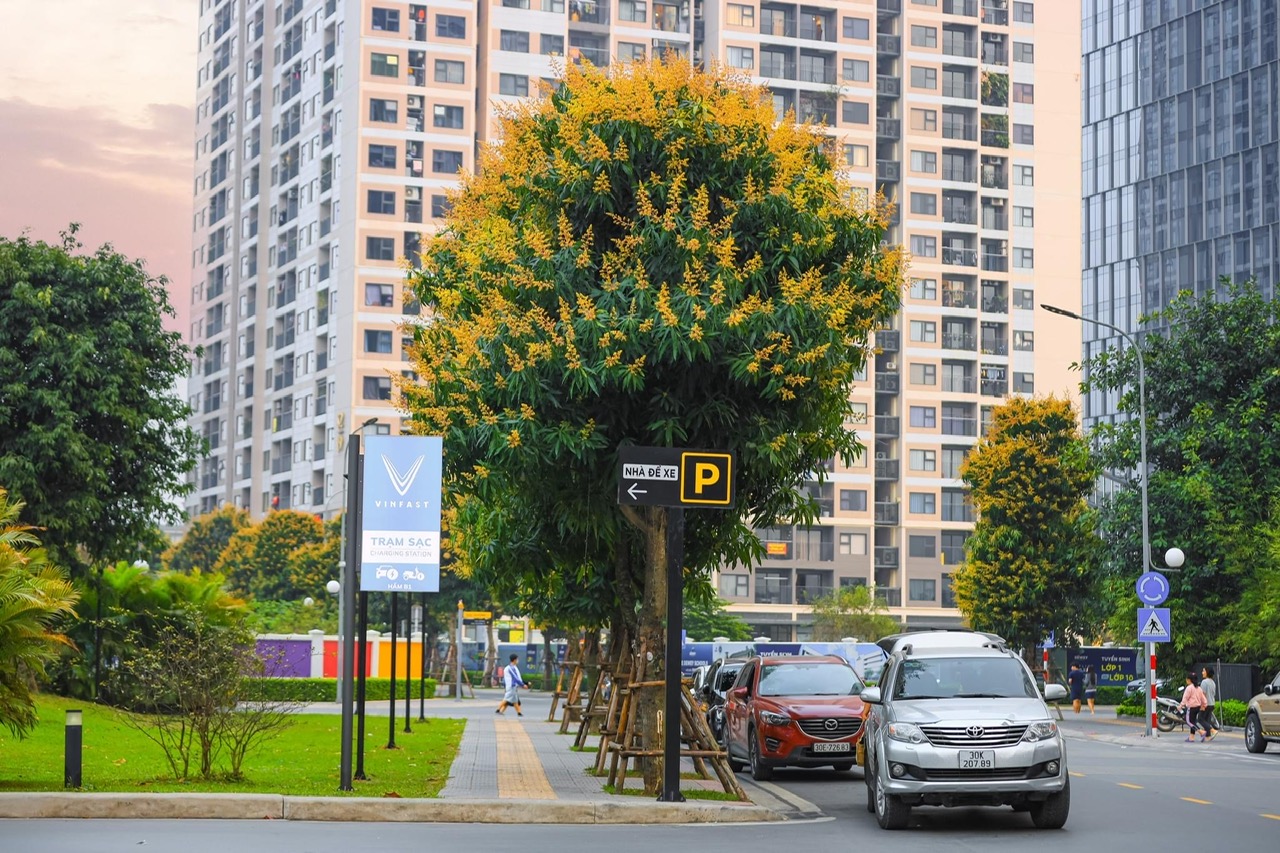 chung cư Vinhomes ocean park