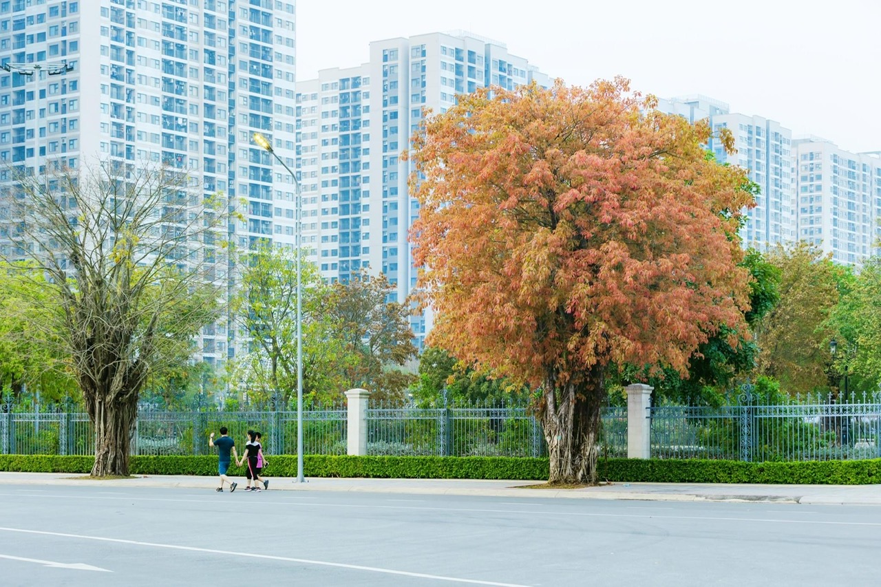 chung cư vinhomes ocean park